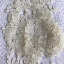 珍珠米新米陈米饱满圆润光滑粒大