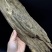 海南黄花梨，沉香老料