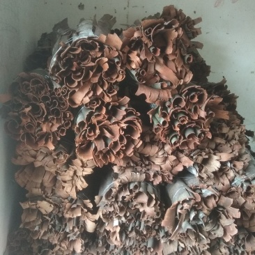 野生香桂皮