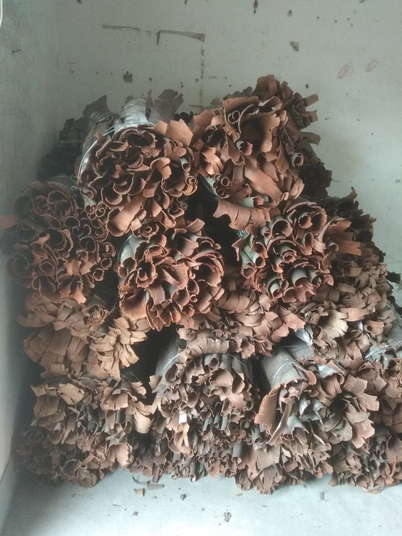 野生香桂皮