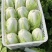 【热卖】白菜江苏夏阳白菜万亩基地持续供应全国发货