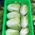 【热卖】白菜江苏夏阳白菜万亩基地持续供应全国发货