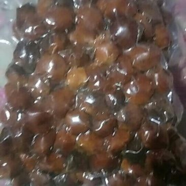树上干杏子