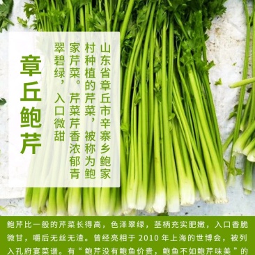 【正宗】章丘鲍芹世博会展品合作社一手货源酒店商超直供