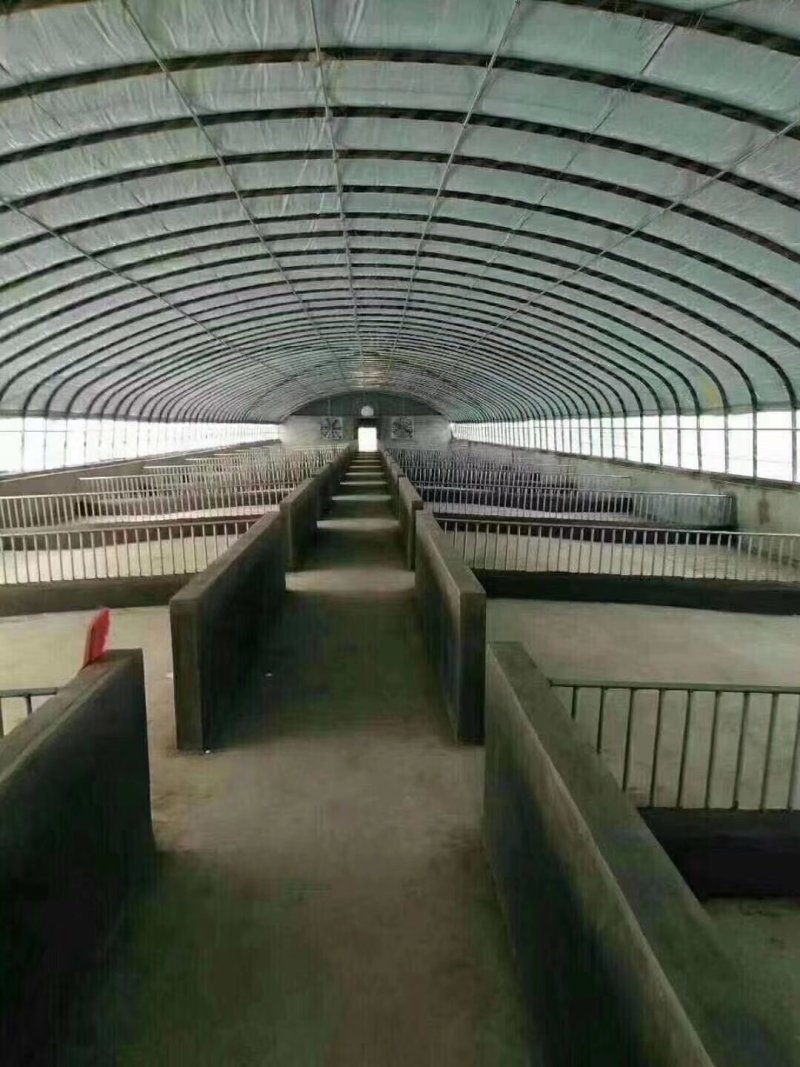 养殖蔬菜大棚