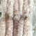 皮皮虾肉爬虾肉皮皮虾肉冷冻虾爬子濑尿虾虾姑肉琵琶