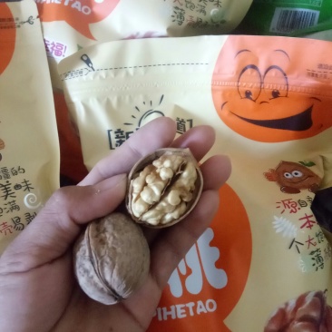 纸皮核桃30mm以上去皮干