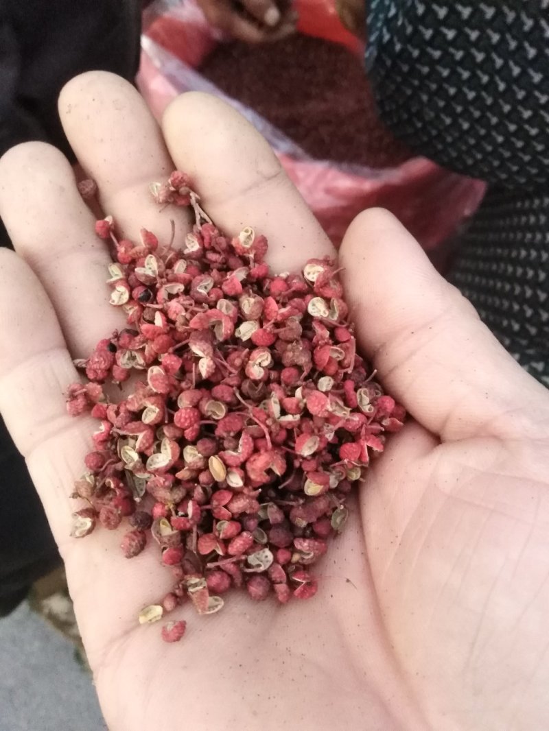 花椒，大红袍花椒，莱芜大红袍花椒