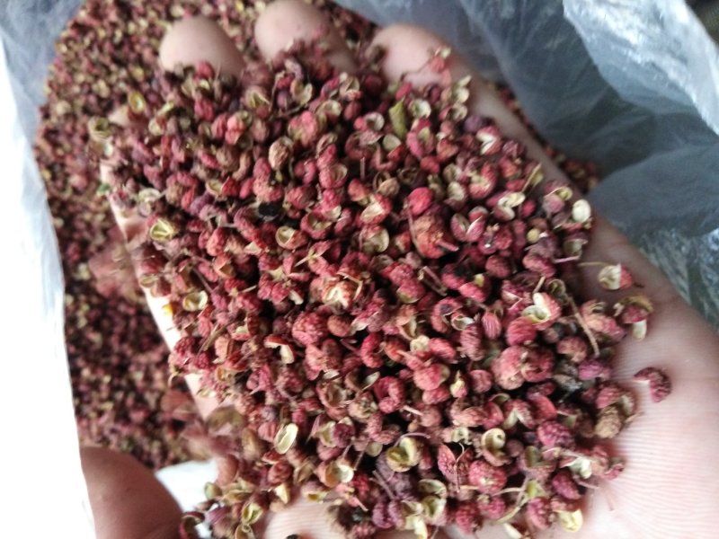 花椒，大红袍花椒，莱芜大红袍花椒
