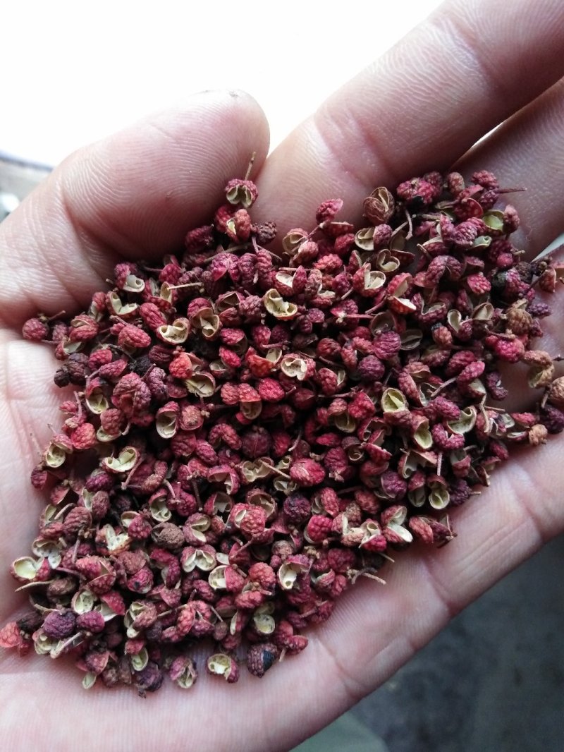 花椒，大红袍花椒，莱芜大红袍花椒