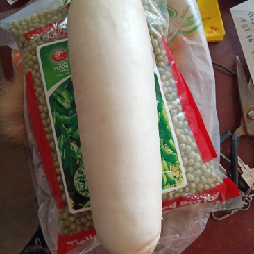 白萝卜，精品白白萝卜，8毛