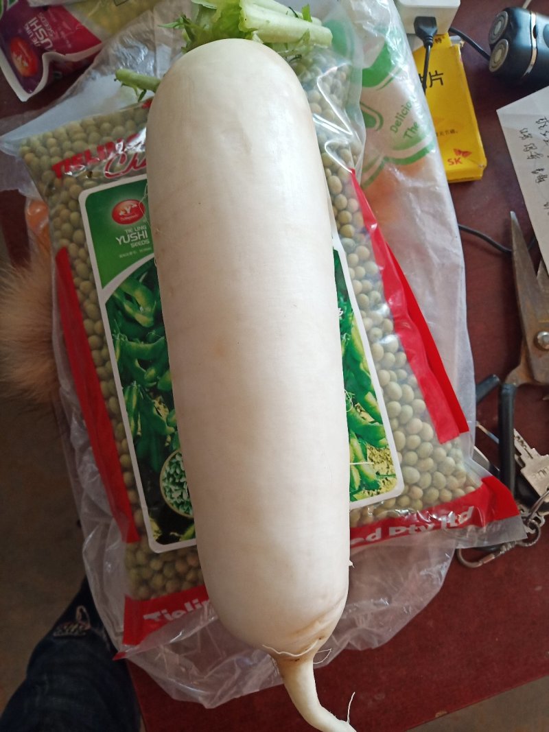 白萝卜，精品白白萝卜，8毛