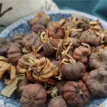 算盘子.道地药材，质优价实，品质保证，药典标准一公斤起批