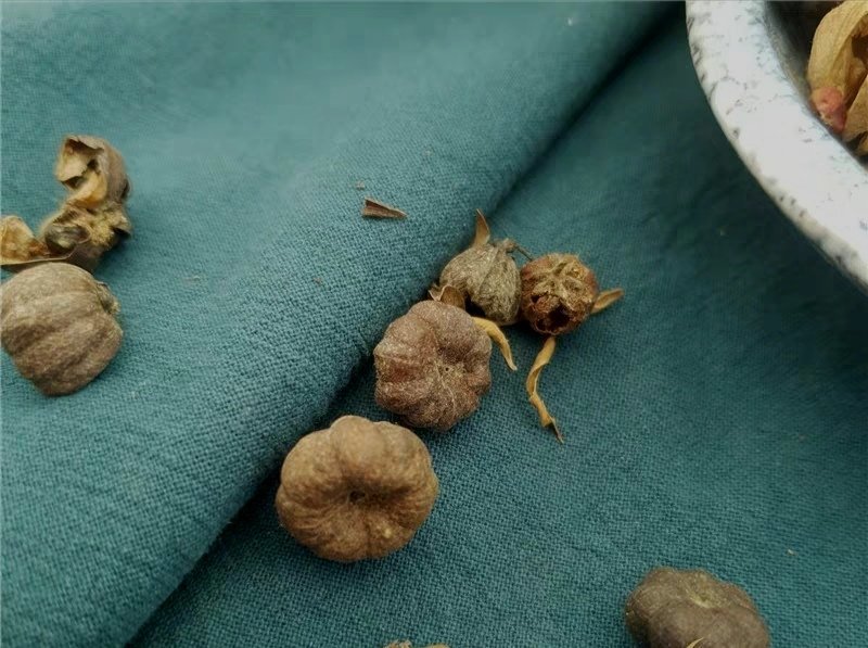 算盘子.道地药材，质优价实，品质保证，药典标准一公斤起批