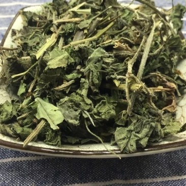 五爪龙,道地药材,质优价实,品质保证,药典标准,产地广东
