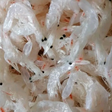 无盐淡干虾皮