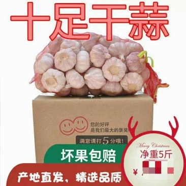 农家干大蒜头自种河南杞县特产蒜头低价干蒜5斤新