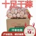 农家干大蒜头自种河南杞县特产蒜头低价干蒜5斤新