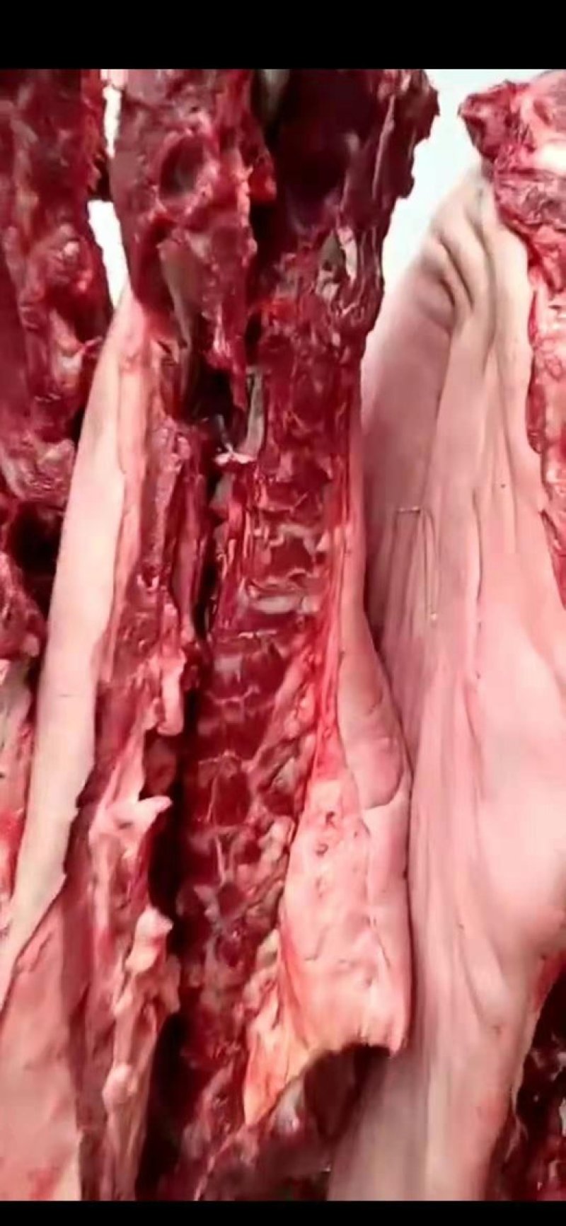 冷鲜带皮马肉，养殖场一手加工