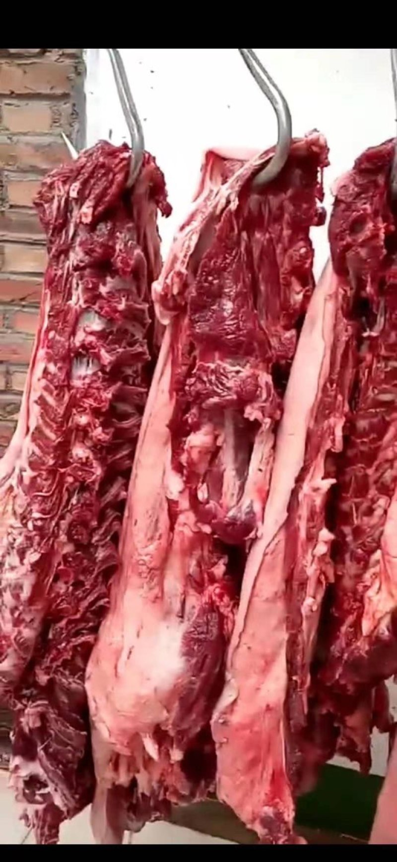 冷鲜带皮马肉，养殖场一手加工
