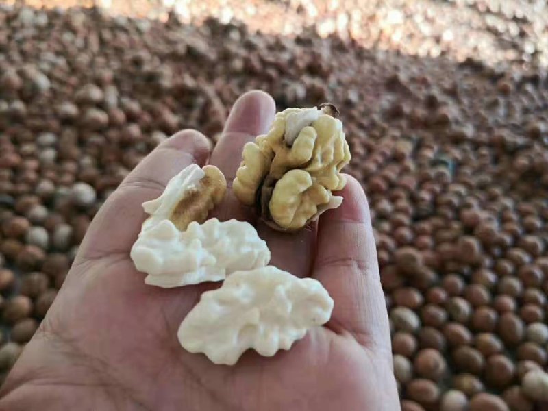 烘烤干香菱，杂果干核桃各个精品