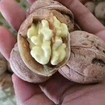 烘烤干香菱，杂果干核桃各个精品