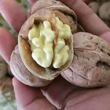 烘烤干香菱，杂果干核桃各个精品