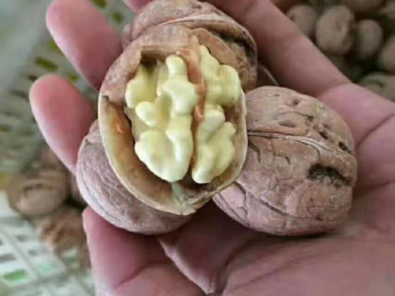 烘烤干香菱，杂果干核桃各个精品