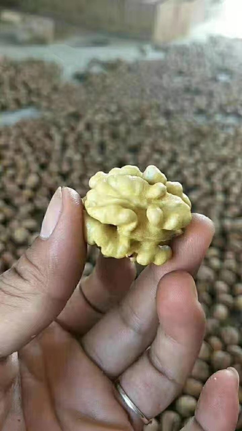 烘烤干香菱，杂果干核桃各个精品