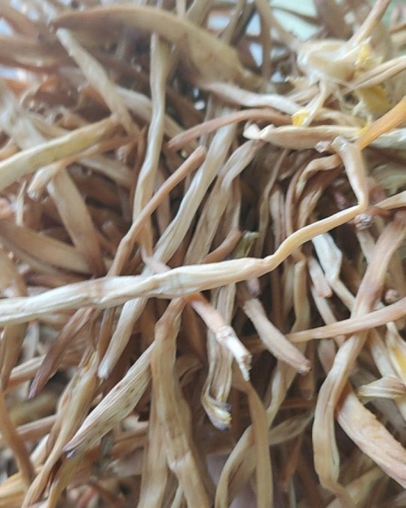 宁夏大白条***黄花菜无硫***农家菜金针菜量大质优
