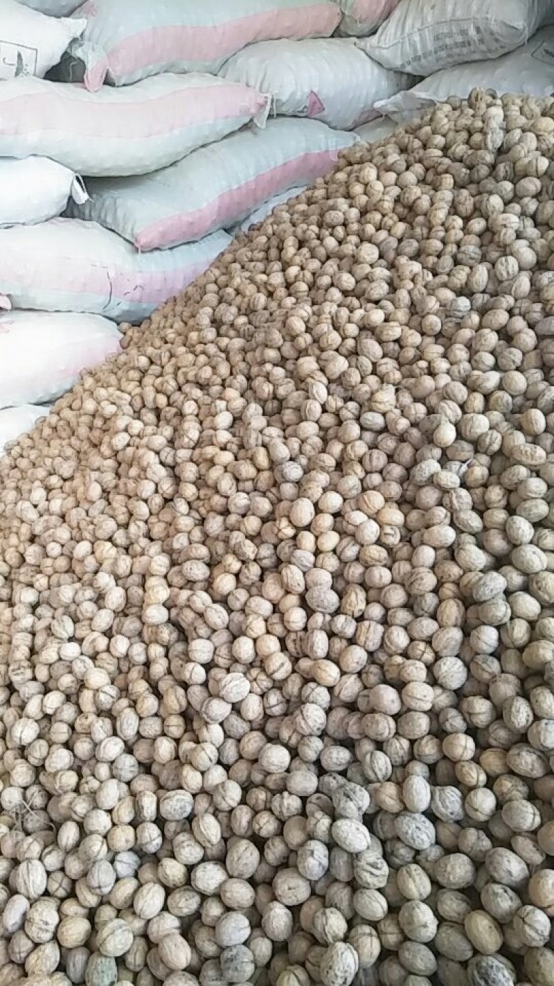 新疆薄皮核桃