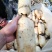 质量好