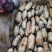 质量好