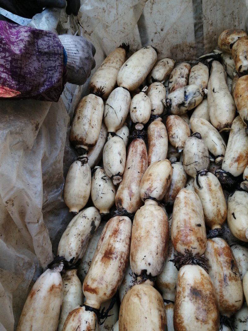质量好