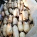 质量好