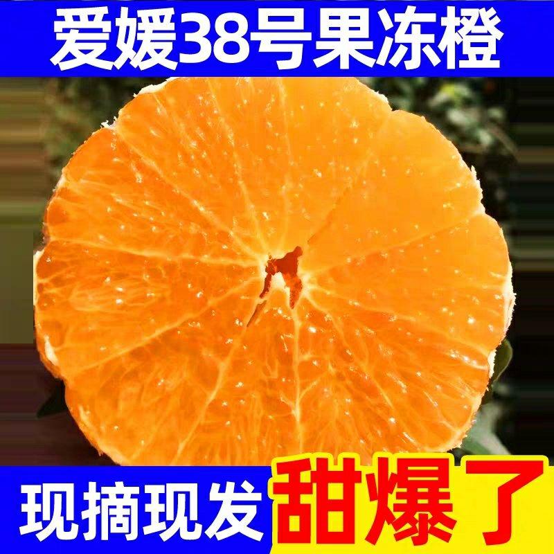 【9月初发货】四川爱媛38号果冻橙现货秒发一件代发