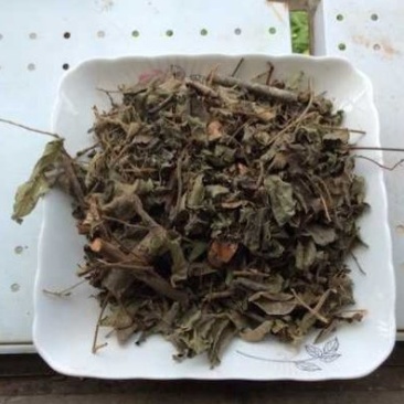 漆大姑,道地药材，质优价实，品质保证，药典标准一公斤起批