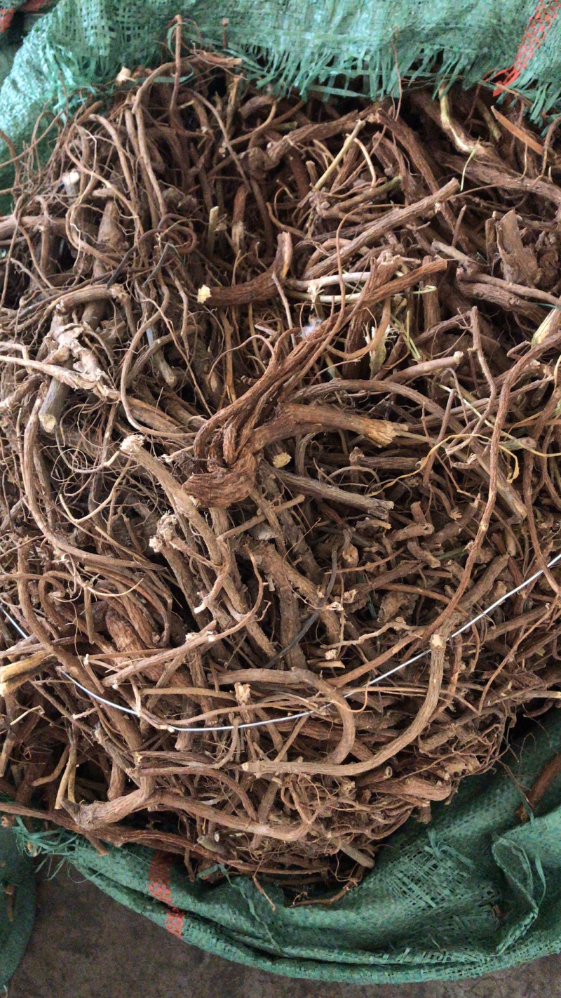 纯野生精品不带杨枝山豆根