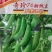 奇珍76甜碗豆种子水果碗豆菜软荚大荚型食味甜脆爽口
