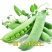 奇珍76甜碗豆种子水果碗豆菜软荚大荚型食味甜脆爽口