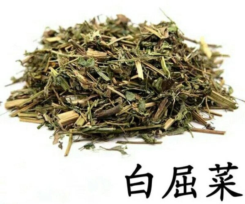 白屈菜产地直供支持线上交易可搭配多品种采购大货联系