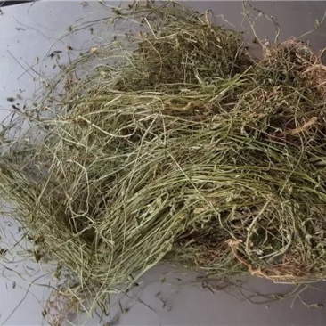 兰花参,道地药材，质优价实，品质保证，药典标准一公斤起批