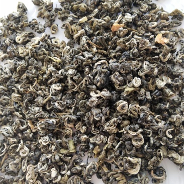 2019年新茉莉花茶特级龙珠王浓香型