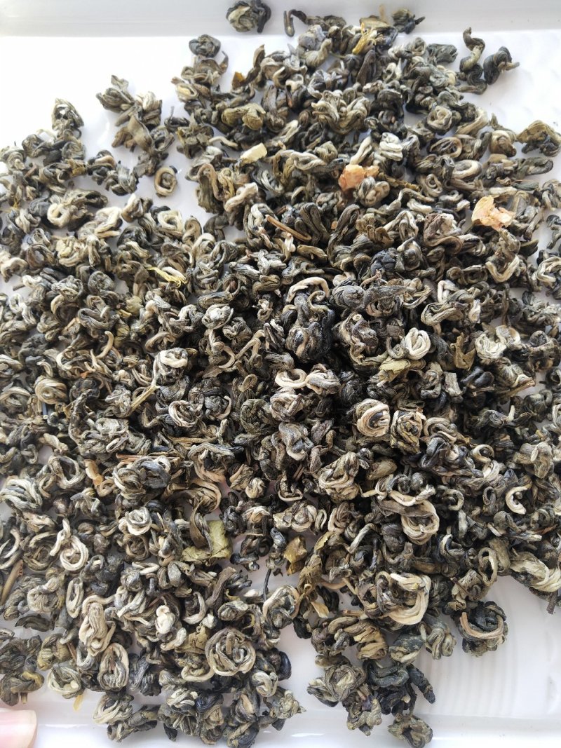 2019年新茉莉花茶特级龙珠王浓香型