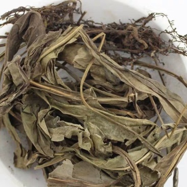 七星剑,七星草，道地药材，质优价实，品质保证，药典标准
