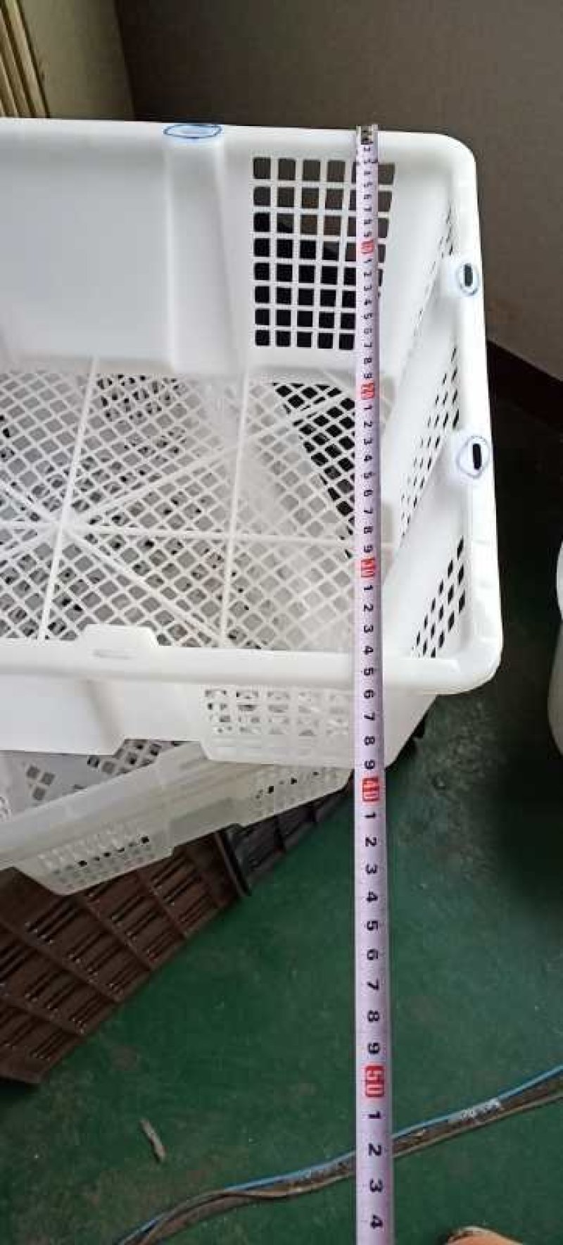带盖一次性桂圆筐塑料筐包装筐厂家批发
