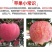 【烟台红富士苹果限时抢】脆甜山东新鲜水果不打蜡孕妇可食