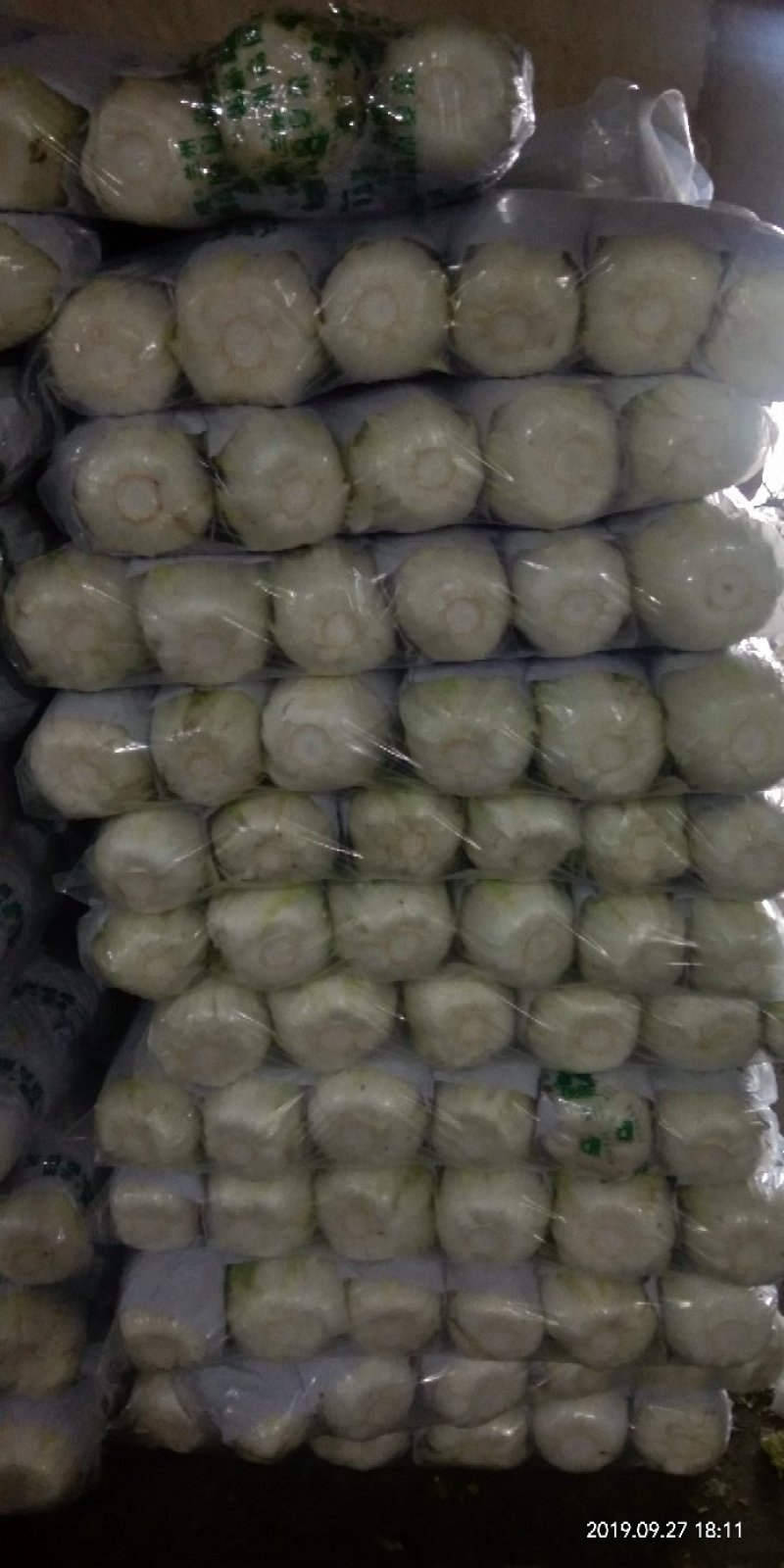 精品白菜