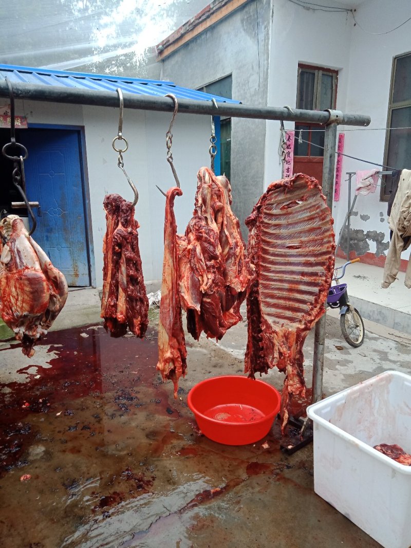 鲜肉类