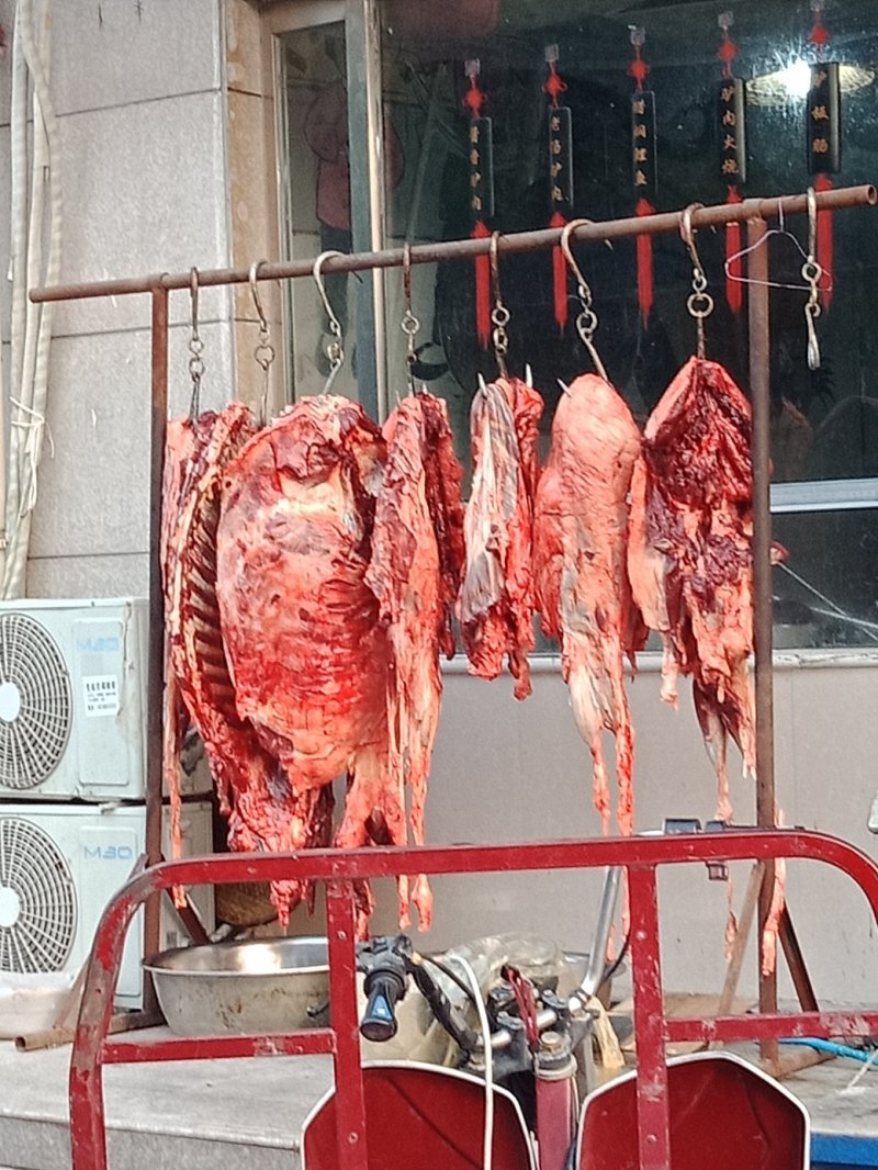 鲜肉类